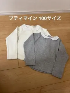 プティマイン 100サイズ