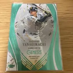 柳町達　genesis /200 即購入◎