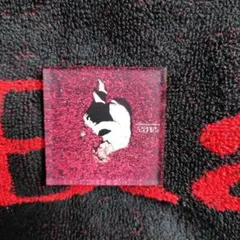 Acid Black Cherry アクリルマグネット 2012