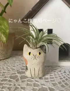 にゃんこ様専用ページ♡