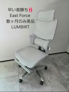 早い者勝ち‼️LUMBIRT East Force オフィスチェア