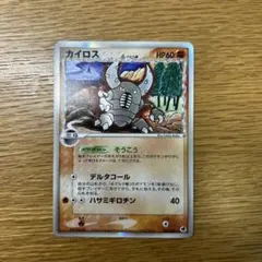 ひなたろす様 リクエスト 2点 まとめ商品