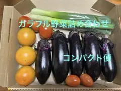 カラフル野菜詰め合わせ　期間中農薬不使用　コンパクト便のサムネイル
