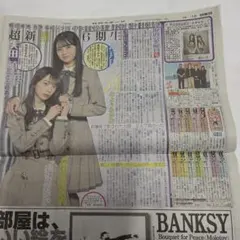 Item thumbnail for item b251da46-dc96-4b80-85b5-be56605e013c