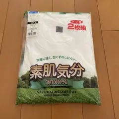 グンゼ 下着 メンズアンダーウェア 2枚組 綿100%