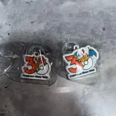 ポケモン 30周年記念　メタルチャーム　2個セット リザードン　ヒトカゲ