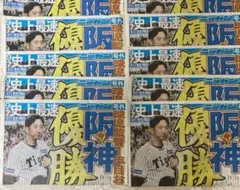 阪神タイガース優勝号外ニッカン新聞10枚
