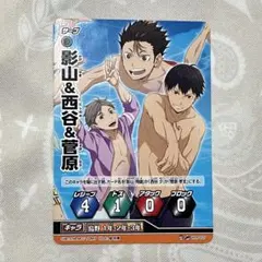 ハイキュー 特典バボカ プロモ プロモカード 珍道中　100本サーブ ハイキュー 特典バボカ プロモ プロモカード 珍道中 100本サーブ
