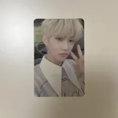 フィリックス yellowwood 封入 トレカ straykids