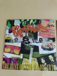 laidbook11-THE BEST MIX ISSUE Mixed by … - メルカリ