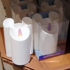 ディズニーリゾート ルームライト