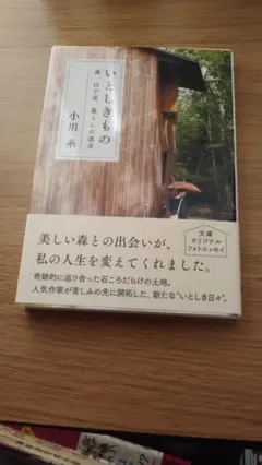 期間限定お値下げ!帯付き!早い者勝ち! いとしきもの 小川糸