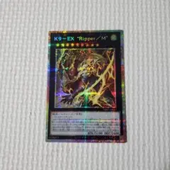 k9 遊戯王OCG デュエルモンスターズ