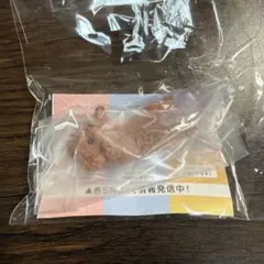 ふちやすみ いろいろわんこ トイプードル