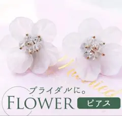 Item thumbnail for item 783afde9-c179-44a1-94f4-e8674f21c319