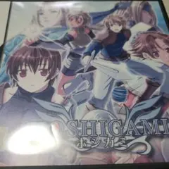 DS ホシガミ 動作確認済み