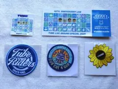 2025年最新】tube グッズ ミュージシャンの人気アイテム - メルカリ