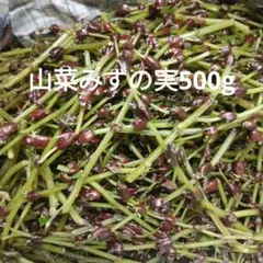 ♡LADUREE♡9月から削除予定 秋田県産 みずのこぶ① 500g ♡LADUREE♡9月から削除予定様専用 秋田県産 みずの実② 500g - メルカリ
