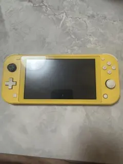 Switchライト本体（ジャンク品）