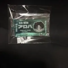 超特急 EVEランダムチケットキーホルダー アロハ①