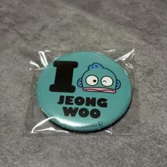 はぴだんぶい カプセルトイ 缶バッジ ハンギョドン ジョンウ