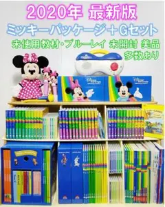 【大幅値下げ】2020年購入＊最新版DWEミッキーパッケージ 大幅値下げ】2020年購入＊最新版DWEミッキーパッケージ 2025年