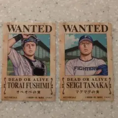 日本ハムファイターズ ワンピースコラボ 来場者プレゼント 田中正義　伏見寅威