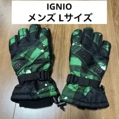 スキーグローブ メンズ