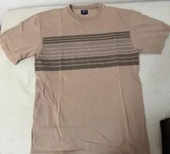 OLD STUSSYストライプ 後染めTシャツ Lサイズベージュ
