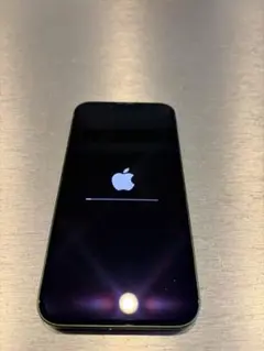 Apple iPhone 13 グリーン