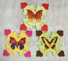 Item thumbnail for item 3b109853-3def-4023-b3ef-1e10f288cc99