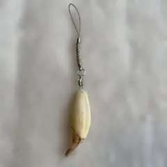 ヒグマ 熊 キバ 牙 キーホルダー - メルカリ