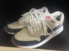 AIR MAX 1 86 OG GOLF 28.0cm エアーマックスのサムネイル
