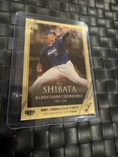 柴田獅子 RCカード 126/200 2025bbm FUSION