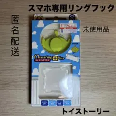 Item thumbnail for item 3b036b56-a8c1-4b86-8862-e12994a709d3