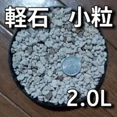 焼軽石 小粒 約2.0L #1のサムネイル