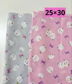 2枚保育園幼稚園ランチョンマット25×30cmシマエナガ