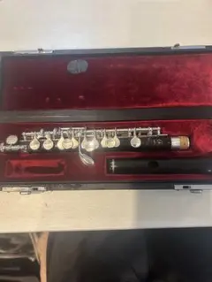 Item thumbnail for item e8d52e2b-25ef-46ba-8e6e-3c4eb0dfb53f