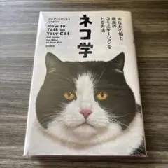 yassy☆様 リクエスト 2点 まとめ商品