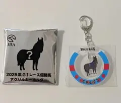 JRAウェルカムチャンス 2025年　菊花賞馬アクリルキーホルダー 　エネルジコ