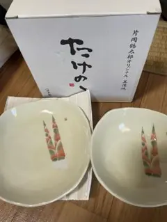 片岡鶴太郎 オリジナル 美濃焼 たけのこ 皿 2枚セット
