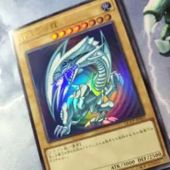 2026年最新】遊戯王 ブルーアイズホワイトドラゴンの人気アイテム