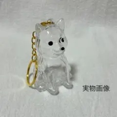 Item thumbnail for item f572a563-0971-4be9-b092-baefcd04518a