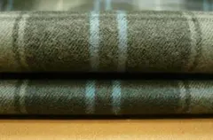 Item thumbnail for item 8f2f291a-3fff-46c3-bb36-8d7129feb350