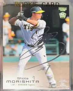 Item thumbnail for item f61020a1-0556-440f-9fbd-6a750eb80f56