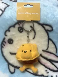 ディズニーリゾート☆ファンキャップ　キーチェーン　プーさん