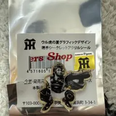 阪神タイガースシークレット（坂本誠志郎選手）