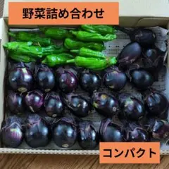野菜セット 野菜詰め合わせ 宮城県産 コンパクトのサムネイル