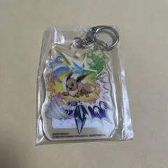 ポケモン イーブイ アクリルキーホルダー セブンネット限定