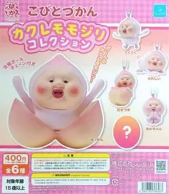 2026年最新】こびとづかん フィギュア セットの人気アイテム - メルカリ